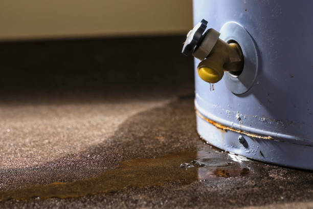 Best Local water damage restoration  in Hinckley, IL