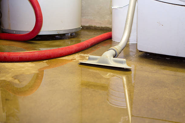 Best Water damage contractors near me  in Hinckley, IL