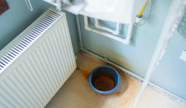 Best Commercial water damage restoration  in Hinckley, IL