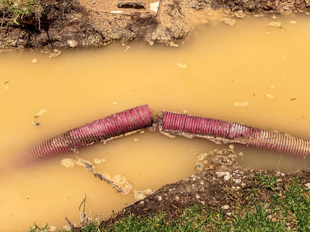 Best 24-hour water damage restoration  in Hinckley, IL
