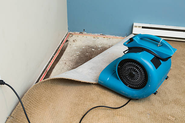 Best Flood restoration services  in Hinckley, IL