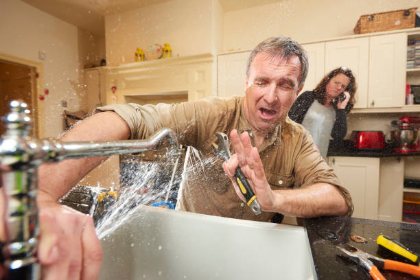 Best Water damage mitigation services  in Hinckley, IL